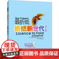 折纸新世代 第2版 (法)尼古拉斯·特里 编 王海明,王兆健 译 都市手工艺书籍生活 正版图书籍 河南科学技术出版社