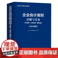 企业会计准则详解与实务:条纹解读+实务应用+案例讲解:2024年版