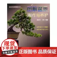 图解盆景制作与养护/家庭园艺DIY系列