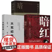 [3册]暗红+暗逻辑+大荒纪事 张鸣历史小说书籍