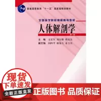 [出版社]人体解剖学/9787810719346/46/80/ 文乐军 北京大学医学出版社