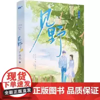 见野 完结篇 人气作者宁雨沉口碑青春代表作!完结篇新增万字未公开番外,元气少女夏绾绾vs不羁少年江野
