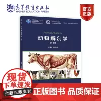 动物解剖学(第4版)彭克美主编 畜禽解剖学大家畜解剖小动物解剖和禽类解剖 高等教育出版社教材9787040613728