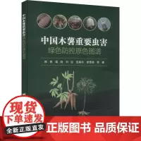 中国木薯重要虫害绿色防控原色图谱 陈青 等 著 农业基础科学专业科技 正版图书籍 中国农业科学技术出版社