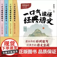 一口气读懂经典语文全4册 套装