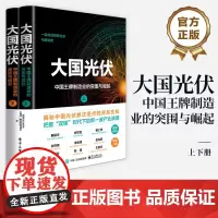 店 大国光伏 中国王牌制造业的突围与崛起 中国光伏行业数十年发展历程与辉煌成就的纪实性著作 电子工业出版社