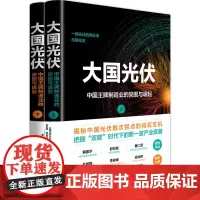 正版 大国光伏 中国王牌制造业的突围与崛起 中国光伏行业数十年发展历程与辉煌成就的纪实性著作 电子工业出版社