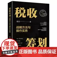 税收筹划战略方法与操作实务 蔡昌 北京大学出版社 9787301345634