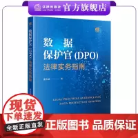 数据保护官(DPO)法律实务指南 潘永建著 法律出版社