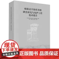 绵阳汉平阳府君阙调查研究与保护工程技术报告