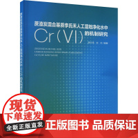 蔗渣炭混合基质李氏禾人工湿地净化水中Cr(VI)的机制研究 游少鸿,刘杰 编 环境科学专业科技 正版图书籍