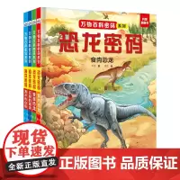 万物百科密码系列 套装4册(恐龙密码2册+海洋密码2册)