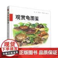 [正版]观赏龟图鉴(精) 周婷//陈如江//韩克勤 中国农业出版社 9787109305786