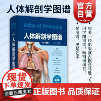 人体解剖学图谱 上海科学技术出版社部位结构剖析临床要点实践便于三维理解构造紧跟医学概念