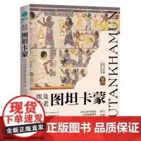 埃及法老图坦卡蒙:解码法老王陵宝藏下的传奇秘史,钩织3300年前的古埃及王朝