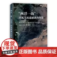 正版书籍 两洋一海 内孤立波遥感调查图集 内孤立波观测常用手段 海洋内孤立波遥感成像原理与判定 东沙环礁内孤立波的分裂与