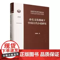 命名文化视域下中国古代小说研究 国家哲学社会科学成果文库 中华书局