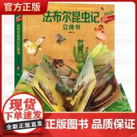 POP-UP科普立体书 法布尔昆虫记立体翻翻书 儿童科普立体翻翻书 2-3-4-6周岁幼儿绘本启蒙认知动物世界图画书3d