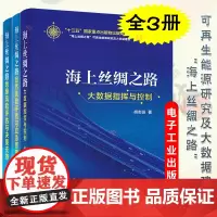 [全3册]海上丝绸之路大数据指挥与控制+地缘风险评估与决策支持+自然风险评估与应急管理 风险评估应急管理数学模型书籍 电