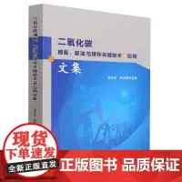 二氧化碳捕集驱油与埋存关键技术及应用文集
