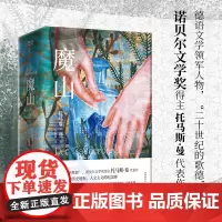 魔山(上下)2册 诺贝尔文学奖得主托马斯·曼代表作 德国现代小说的里程碑 欧洲文学的历史地标 书籍 新华正版