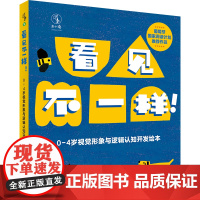 看见不一样!0—4岁视觉形象与逻辑认知开发绘本 未小读绘本童书婴幼儿读物儿童故事 早教 启蒙 视知觉 视觉开发 视觉形象