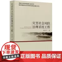 灾害社会风险治理系统工程