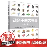 动物王国大揭秘求偶(全4册) 知识文学艺术的结合 儿童绘本幼儿启蒙 感受生命的伟大,培养开阔的视野