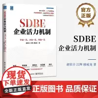 店 SDBE企业活力机制 令出一孔 力出一孔 利出一孔 企业激活组织和个人内在奥秘与方法论企业发展书籍 胡荣丰 江辉 廖