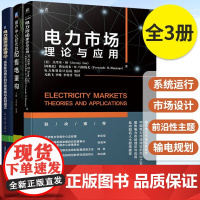 电力市场理论与应用+电力市场导论+用户中心时代的配售电重构 信息驱动增长的交易策略与盈利模式输电规划 经济数据