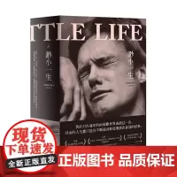 正版 渺小一生(套装上下册)9787559817518 北贝 广西师范大学出版社 柳原汉雅 著,尤传莉 译,理想国 出品