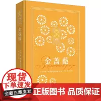 金蔷薇 (苏)康·帕乌斯托夫斯基 著 苏玲 译 世界名著文学 正版图书籍 四川人民出版社