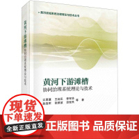 黄河下游滩槽协同治理系统理论与技术/黄河流域系统治理理论与技术丛书