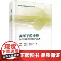 黄河下游滩槽协同治理系统理论与技术/黄河流域系统治理理论与技术丛书