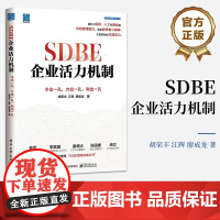 正版 SDBE企业活力机制 令出一孔 力出一孔 利出一孔 企业激活组织和个人的内在奥秘与方法论企业发展书籍 胡荣丰 江辉