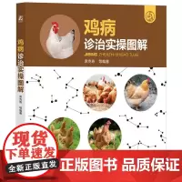 鸡病诊治实操图解 席克奇 等 编 畜牧/养殖专业科技 正版图书籍 机械工业出版社