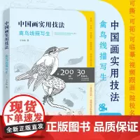 中国画实用技法-禽鸟线描写生附教学视频近200例临摹稿30种禽鸟手绘分解教程天津人美