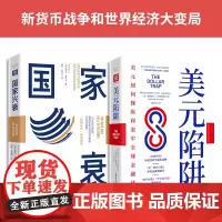 新货币战争和世界经济大变局:美元陷阱+国家兴衰(套装2册)