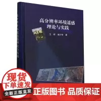高分辨率环境遥感理论与实践