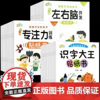 识字大王贴纸书8册大本2-6岁幼儿园学前认字贴画儿童早教玩具图书