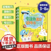 3-6岁专注力迷宫训练书8+2 全10册 幼儿早教思维能力脑力训练 亲子互动 自主游戏 华东师范大学出版社