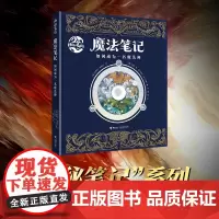 魔法笔记: 如何成为一名魔法师 神秘笔记系列 奇幻探险科普百科翻翻书洞洞儿童故事童话书籍
