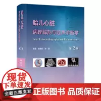 胎儿心脏病理解剖与超声诊断学(第2版) 2023年11月参考书 9787117350525