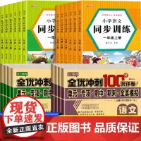 二年级三年级上下册试卷测试卷全套同步训练语文数学人教教版专项练习册小学2下学期教材全解同步解析与测评单元期中期末冲刺卷