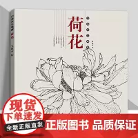 白描技法精解 荷花 中国画花草植物工笔画白描底稿书白描勾线画谱美术绘画初学者入门到精通基础教程 线描写生范例
