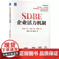 SDBE企业活力机制 令出一孔,力出一孔,利出一孔 胡荣丰,江辉,廖成龙 著 企业管理经管、励志 正版图书籍 电子工业出