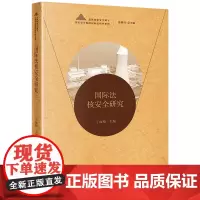 国际法核安全研究 丁丽柏主编 总体国家安全观下国家安全保障国际法研究系列 法律出版社