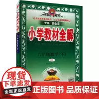 小学教材全解 6年级数学(下) RJ 薛金星 编 小学教辅文教 正版图书籍 陕西人民教育出版社