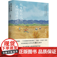 故乡那么辽阔 为何还要远行 王选 著 文学作品集文学 正版图书籍 江苏凤凰文艺出版社