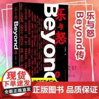 乐与怒 Beyond传 左安军 著 再现主唱黄家驹与Beyond的光辉岁月 正版图书籍 南京大学出版社